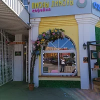 ПИОНЫ ЛИМОНЫ (вывеска)